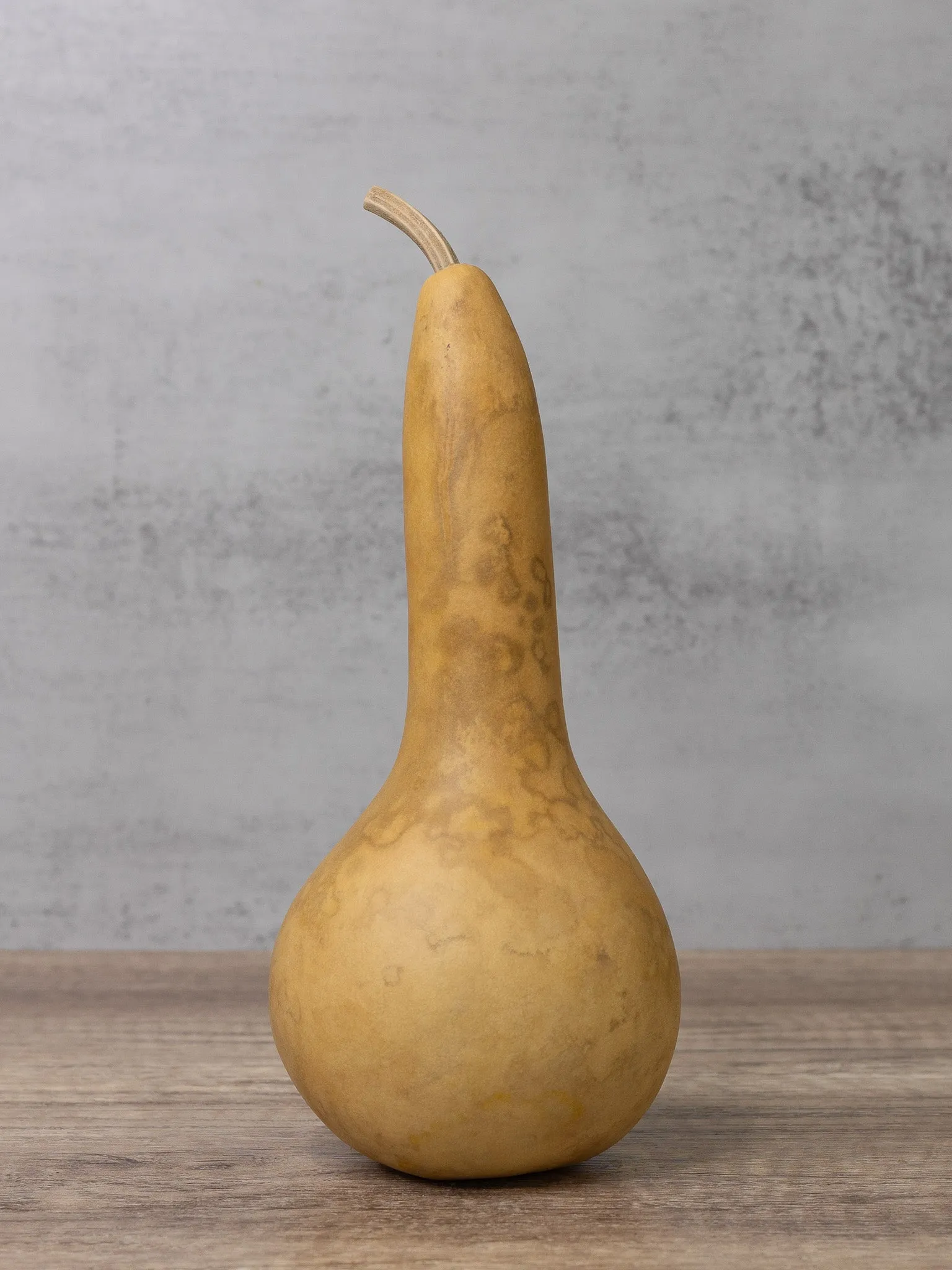 Raw 4 Inch Dipper Gourd