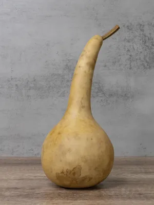 Raw 4 Inch Dipper Gourd